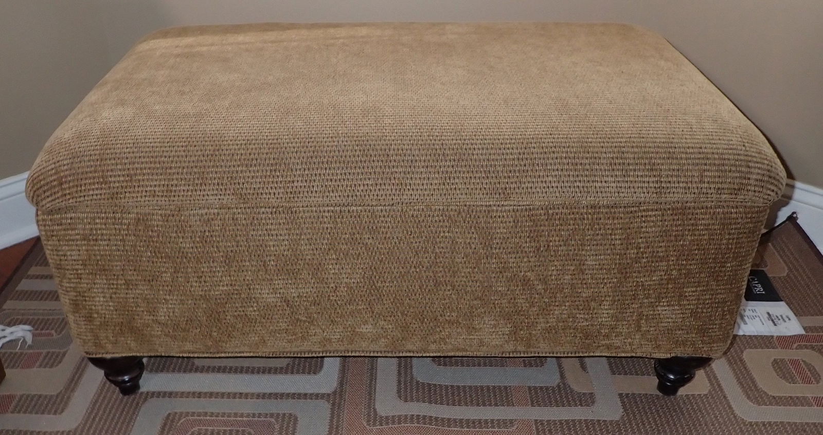 Ottoman / Storage Chest (1 of 3)