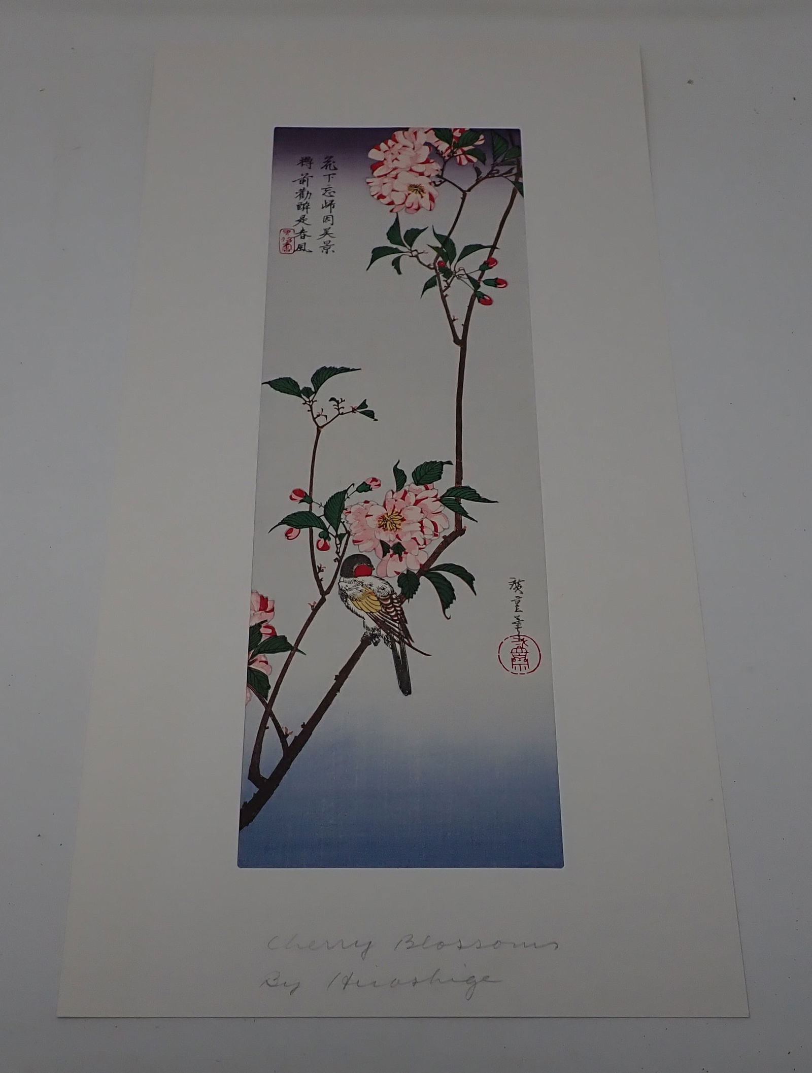 Cherry Blossoms Hiroshige Wood Block Print (1 of 5)