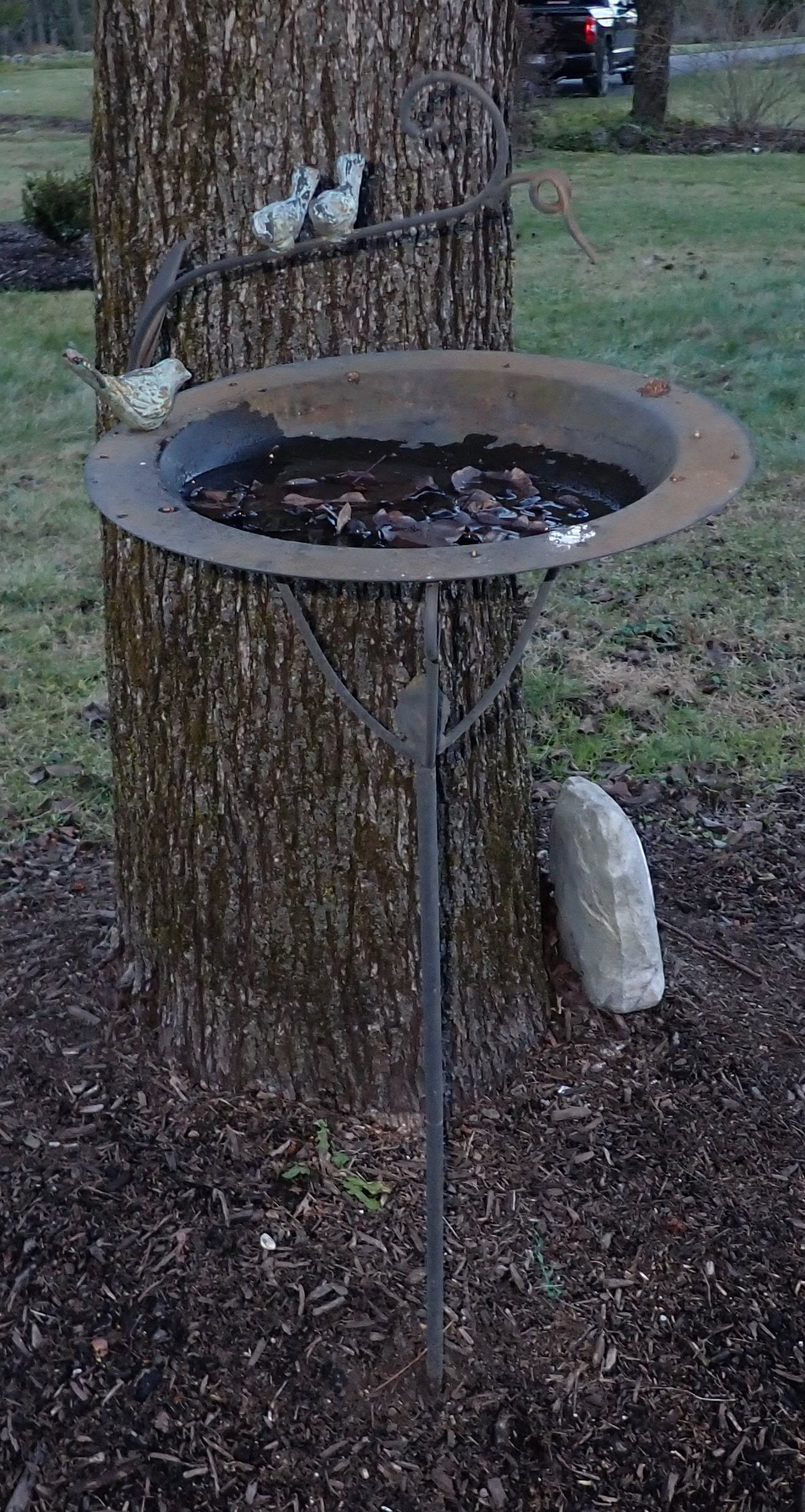 Bird Bath & Feeders (1 of 6)