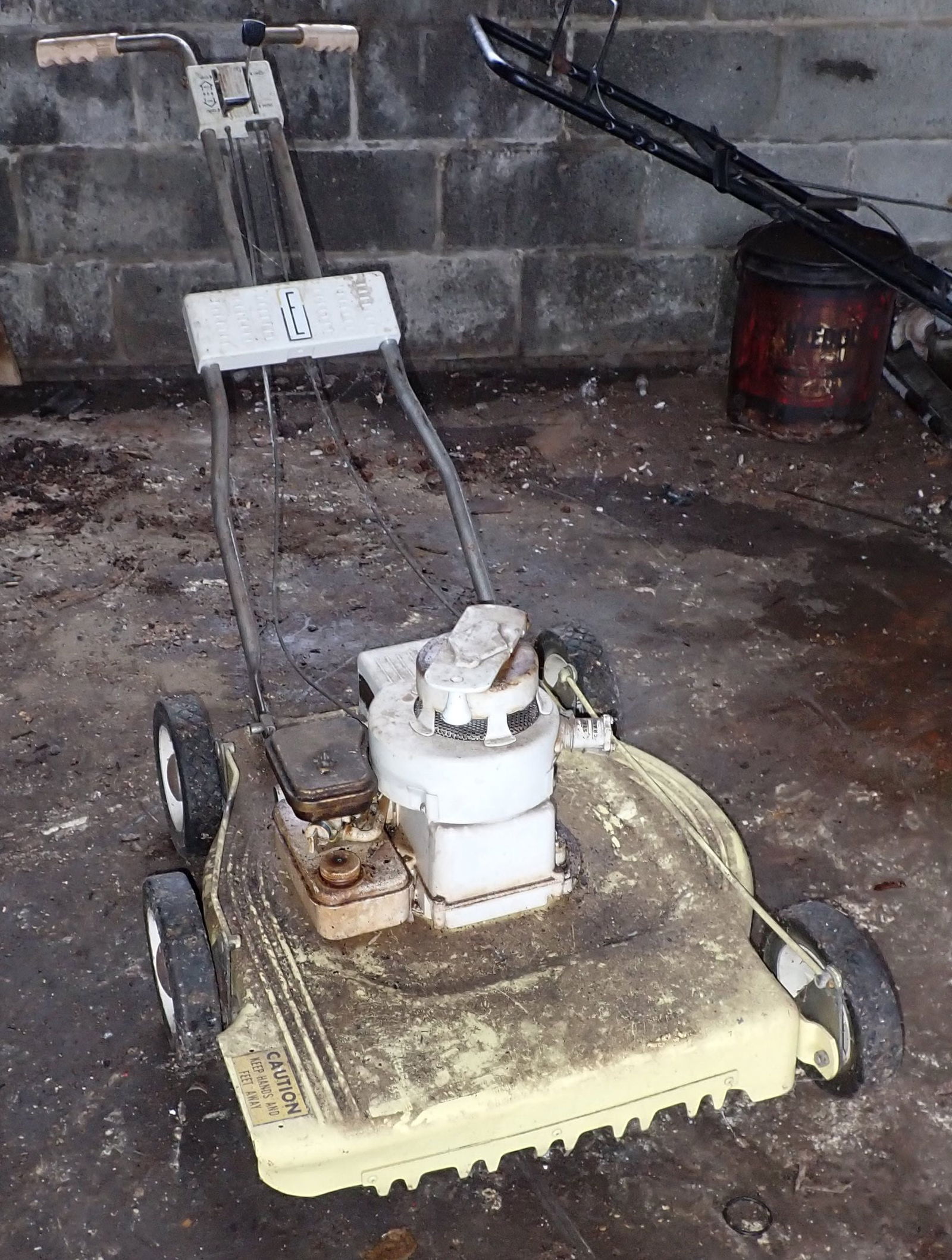 Eclipse Push Mower w/ Briggs & Stratton Motor (1 of 5)