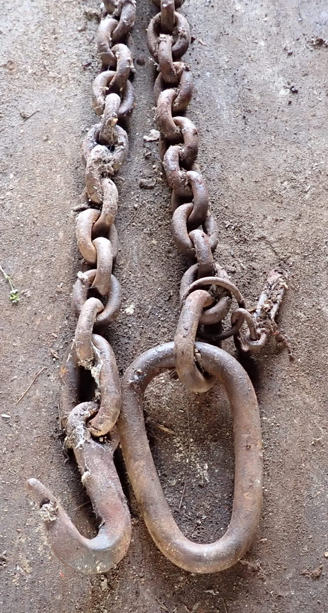 1/2" Logging Chain: Approx 11' long. NO shipping