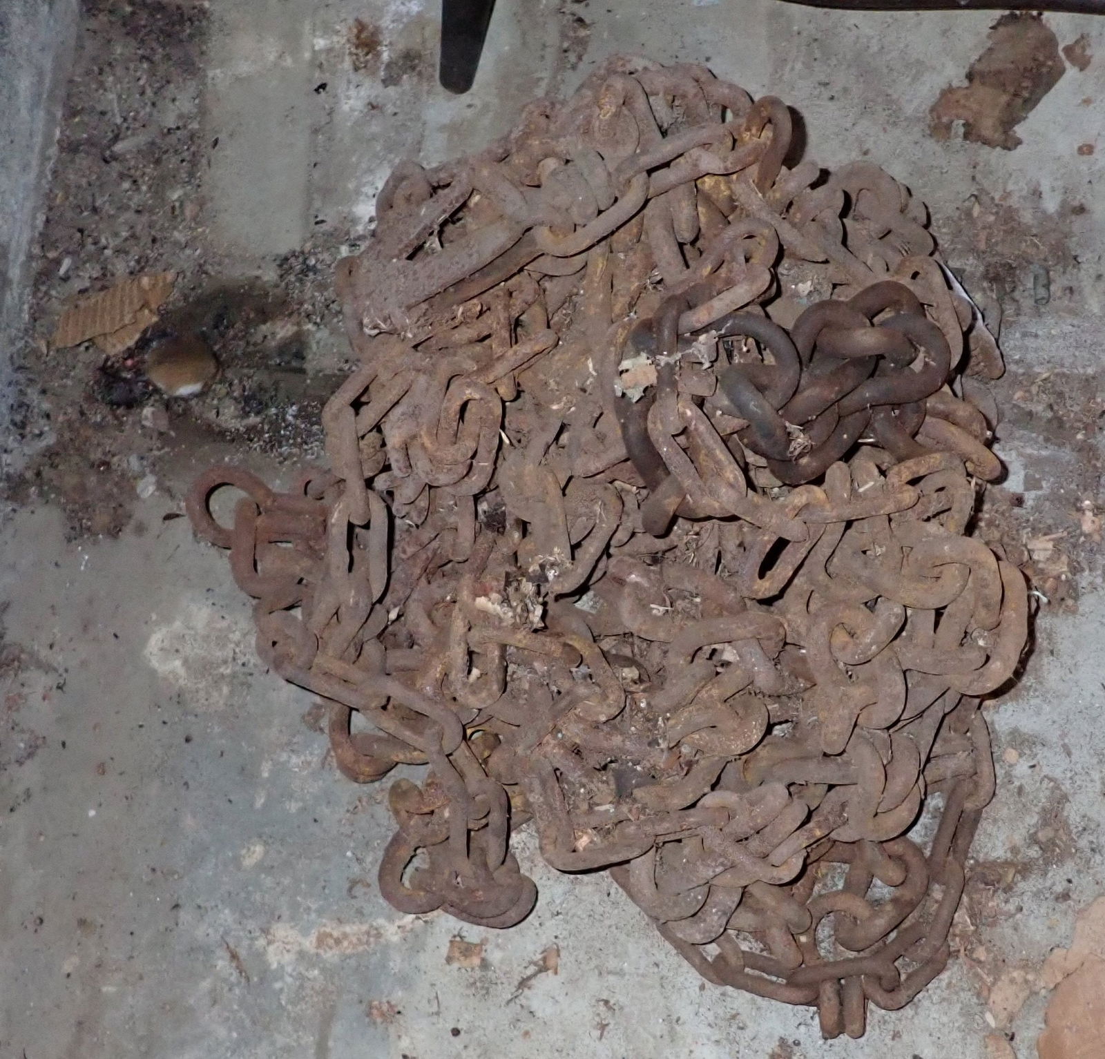 Tractor Snow Chains (1 of 1)