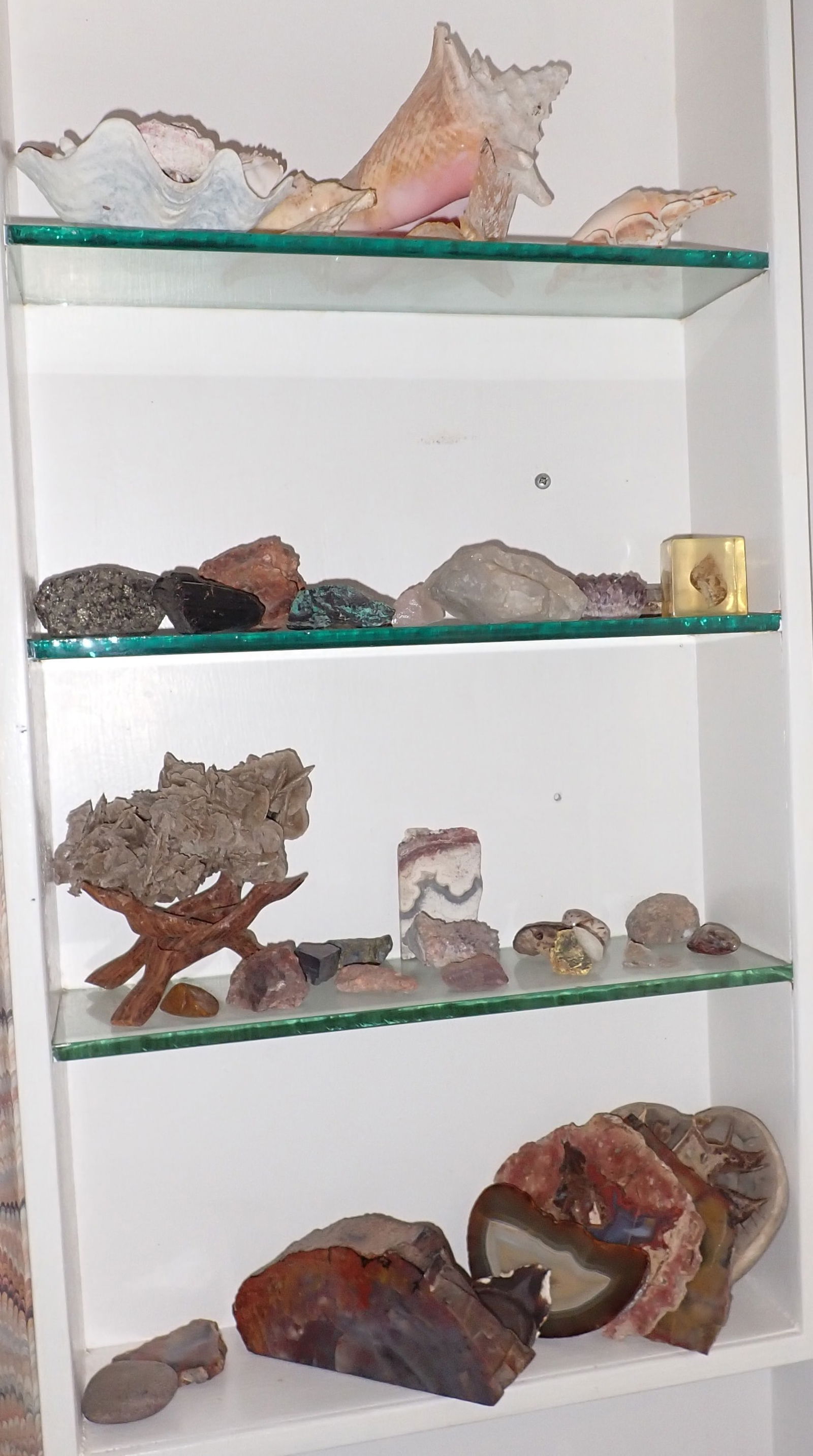 Rocks Geodes Minerals Conch Shells (1 of 3)