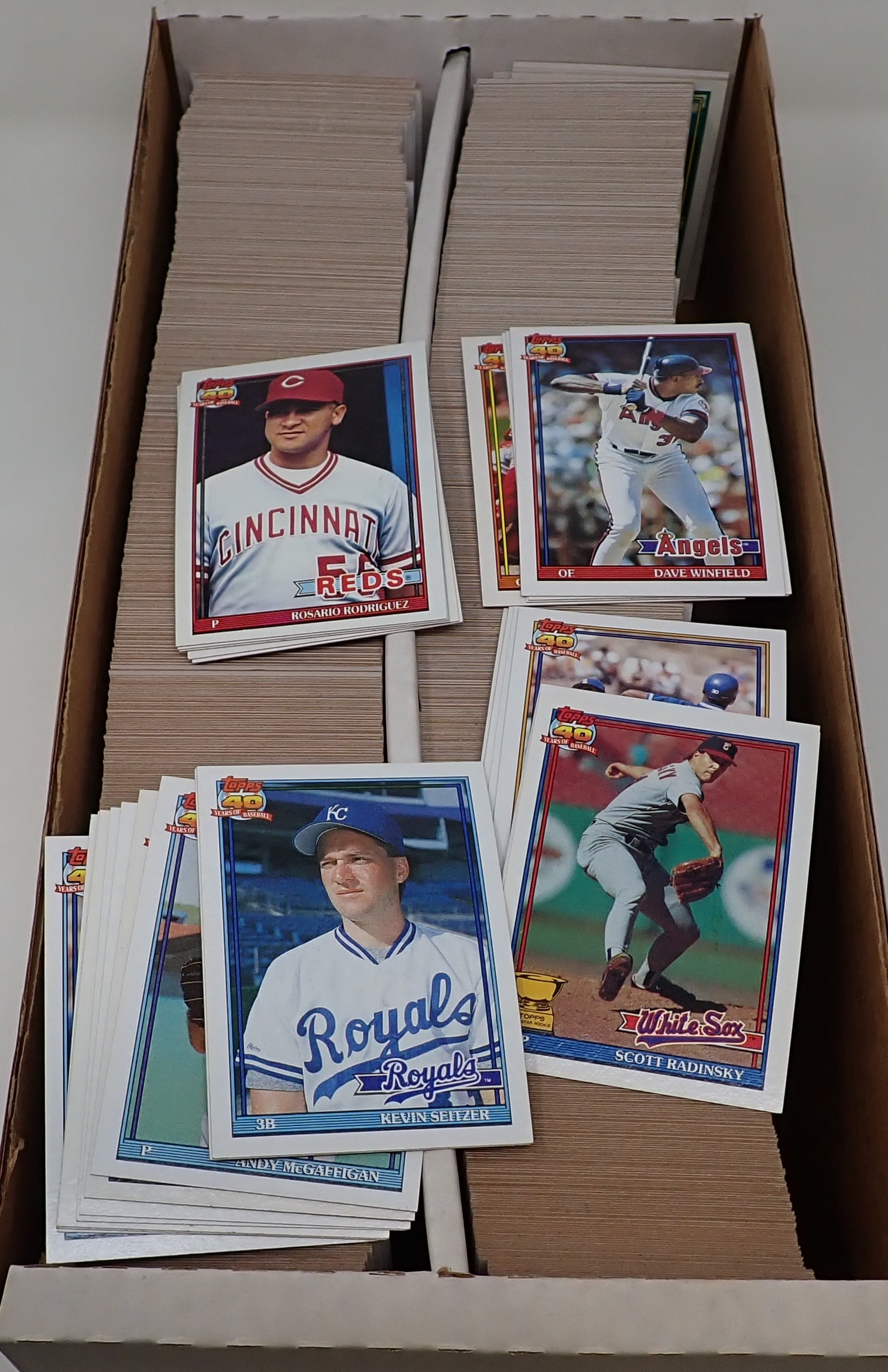 1991 Topps Baseball Cards (1 of 1)