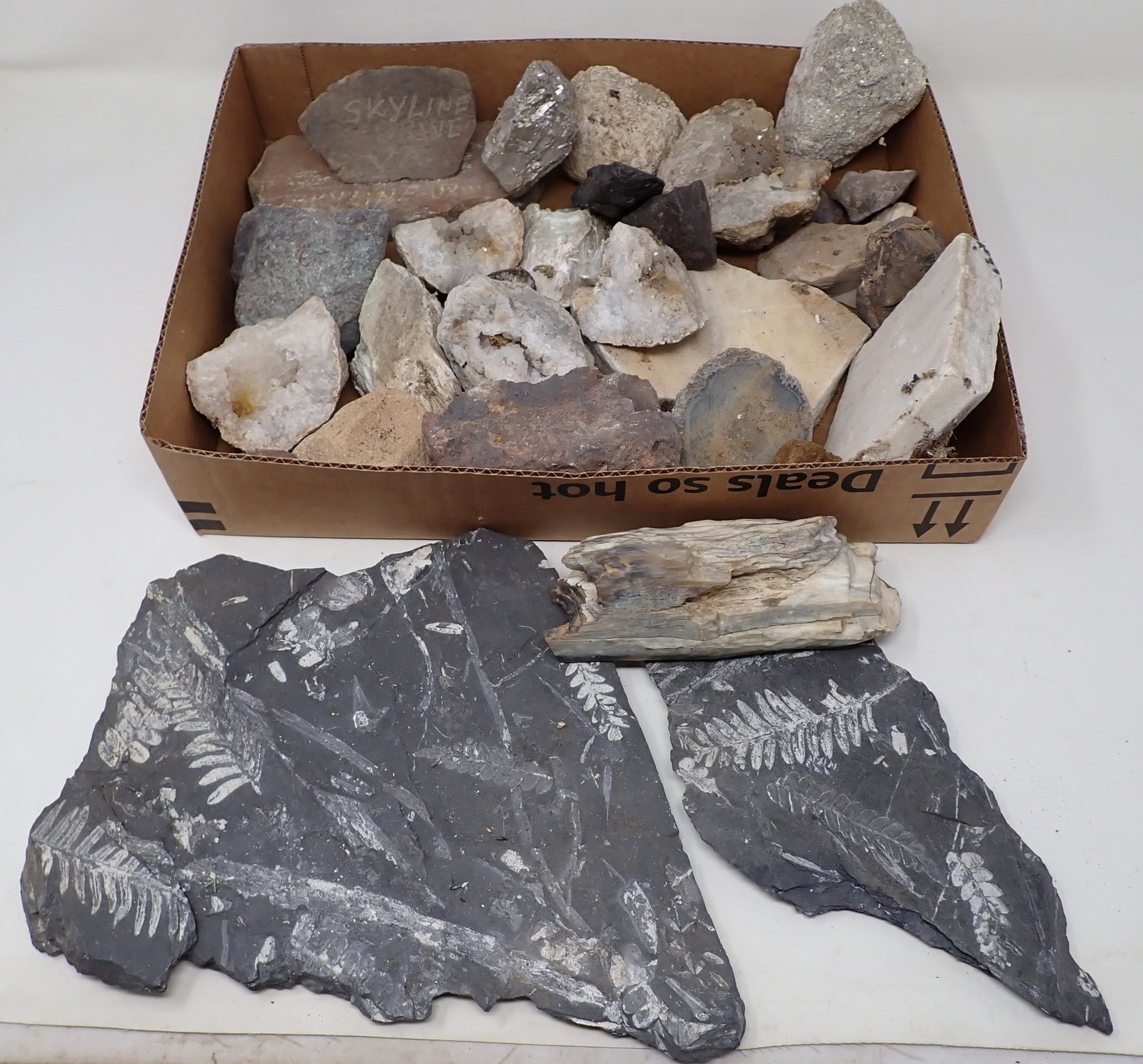 Rocks Minerals & Fossils: Front left one is apprx 8 1/2" x 11 1/2"