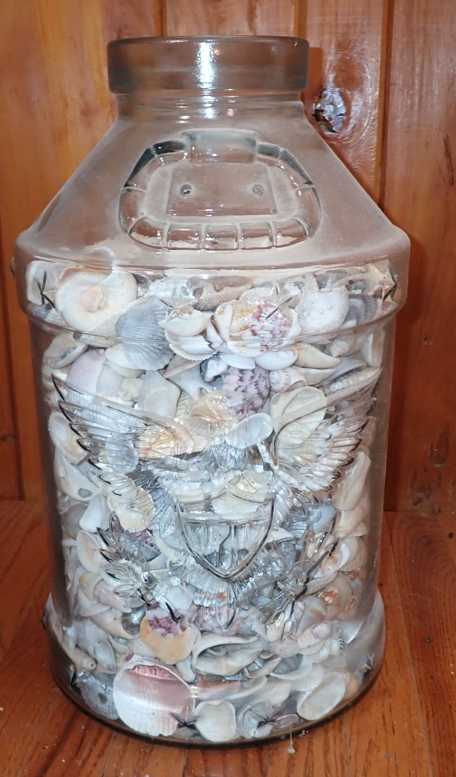 Seashells in Patriotic Glass Jar w/ Eagle (1 of 5)