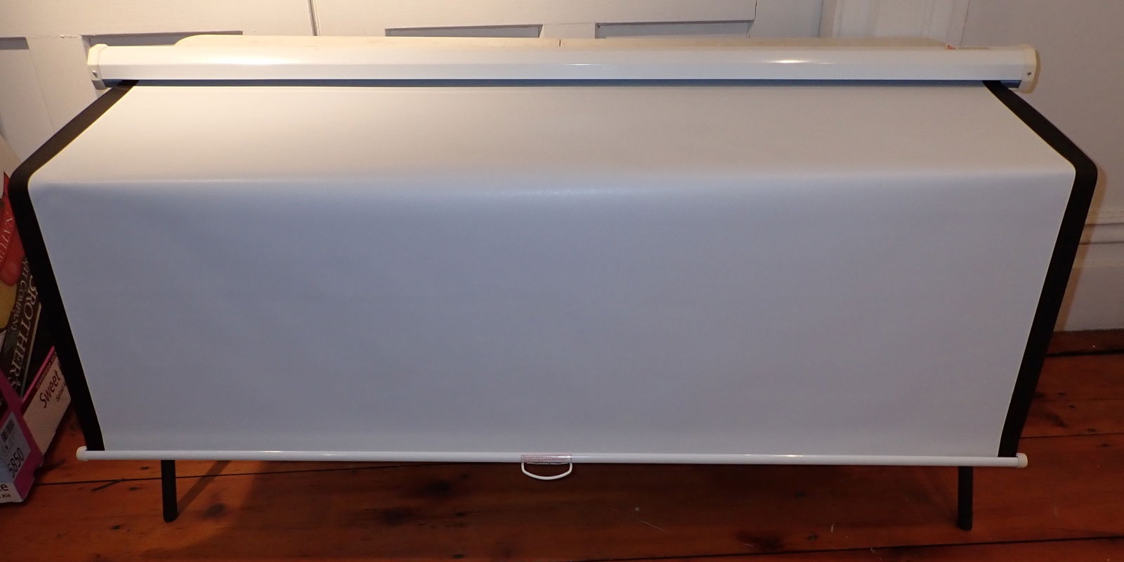 Bretford Projector Screen (1 of 1)