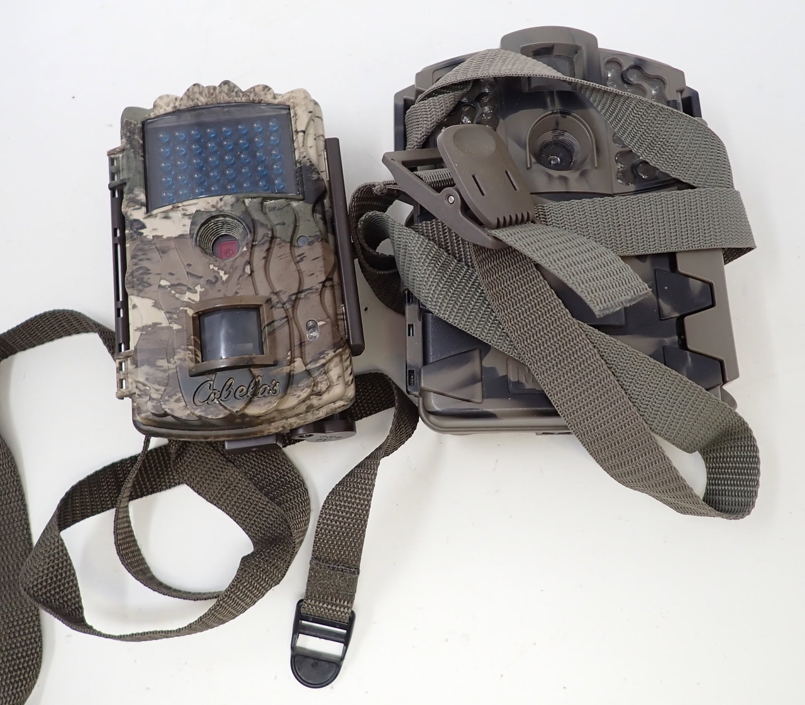 Cabelas & Moultrie Game Cameras: Getting both