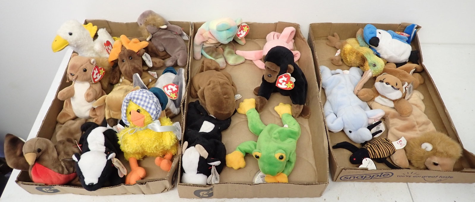 Beanie Babies: Getting all pictured