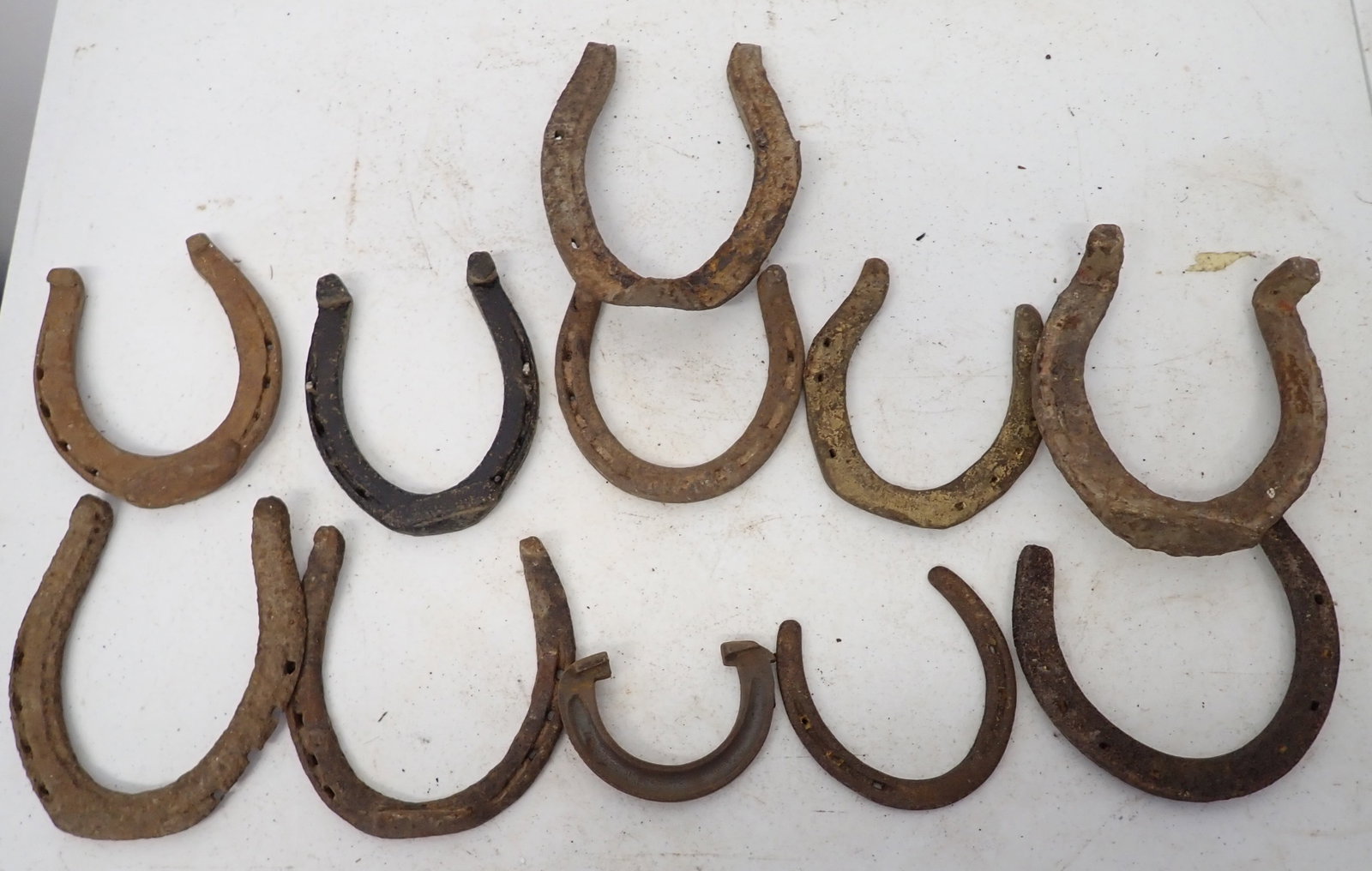 Horse Shoes: Getting all pictured