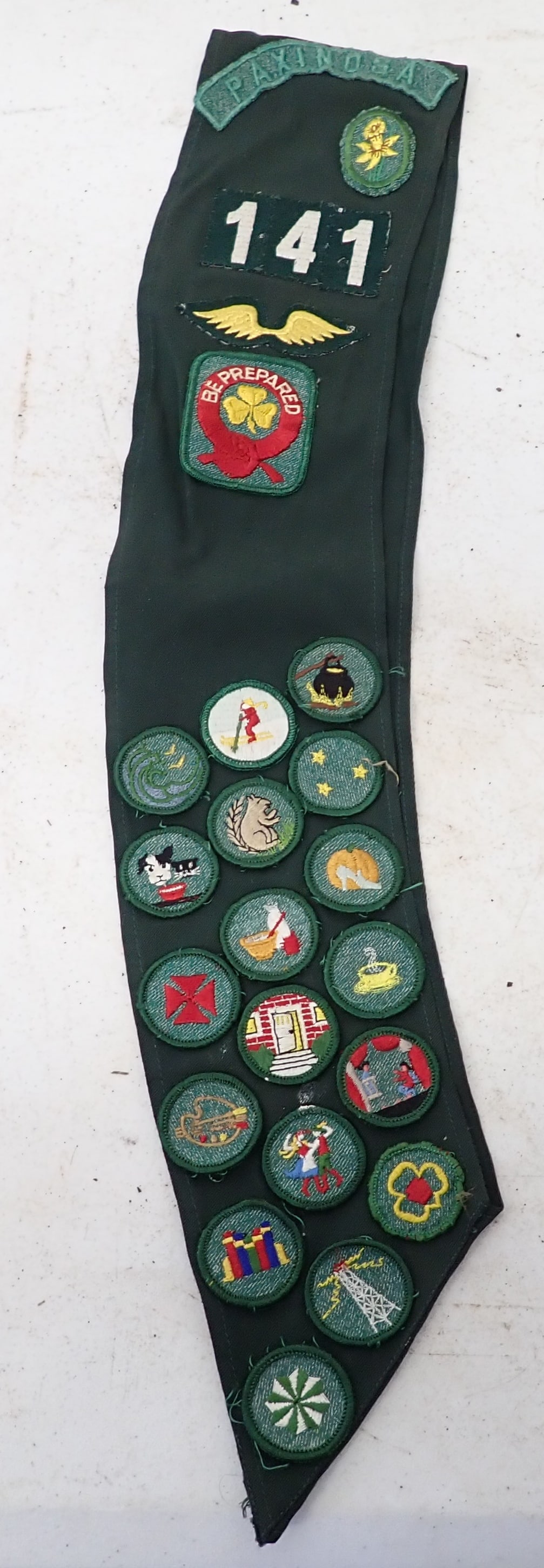 Girl Scout Sash w/ Patches: Sash & Patches