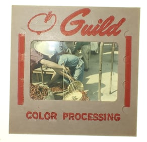 Photo Picture Slides Tokyo Japan Military Housing & Misc