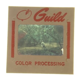 Tikal & Misc Picture / Photo Slides