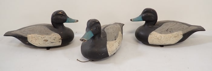 3 Plastic Duck Decoys