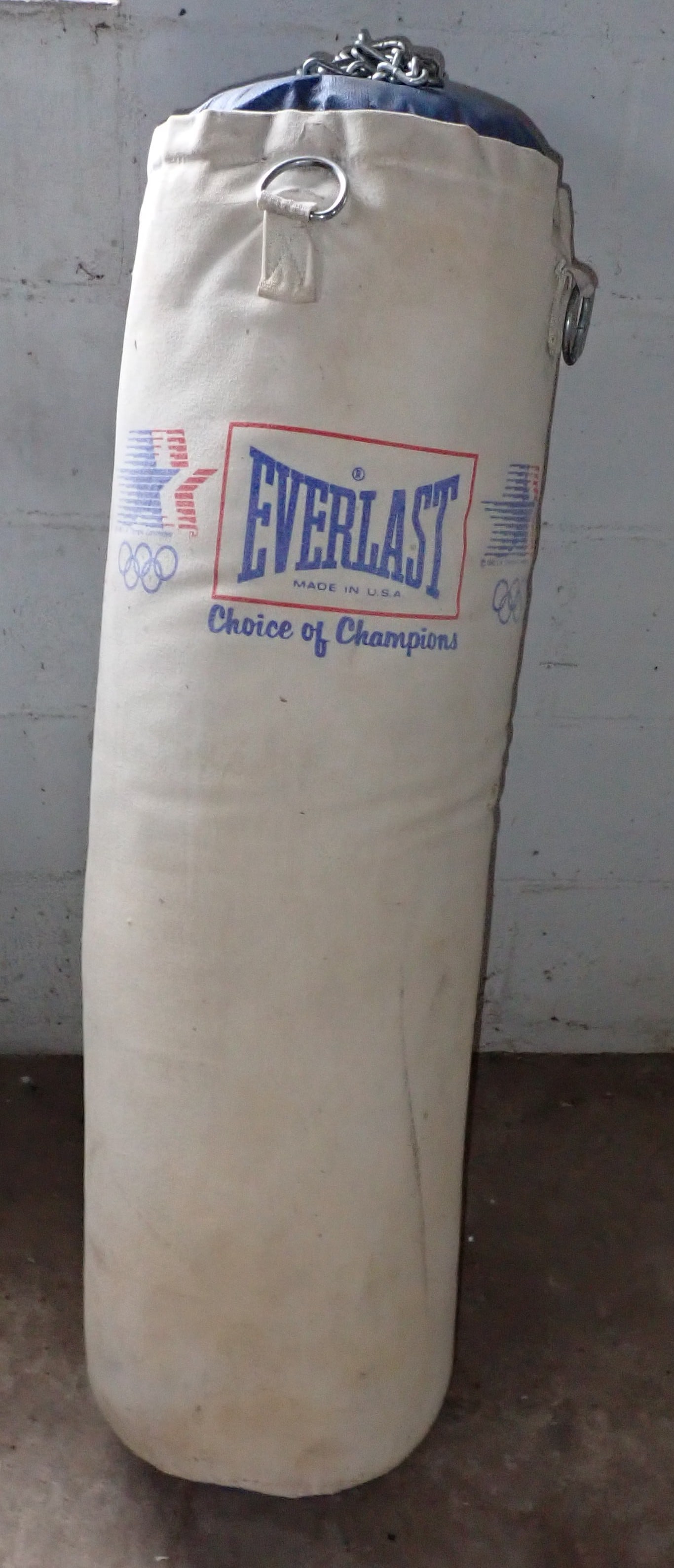 Everlast Punching Bag (1 of 1)