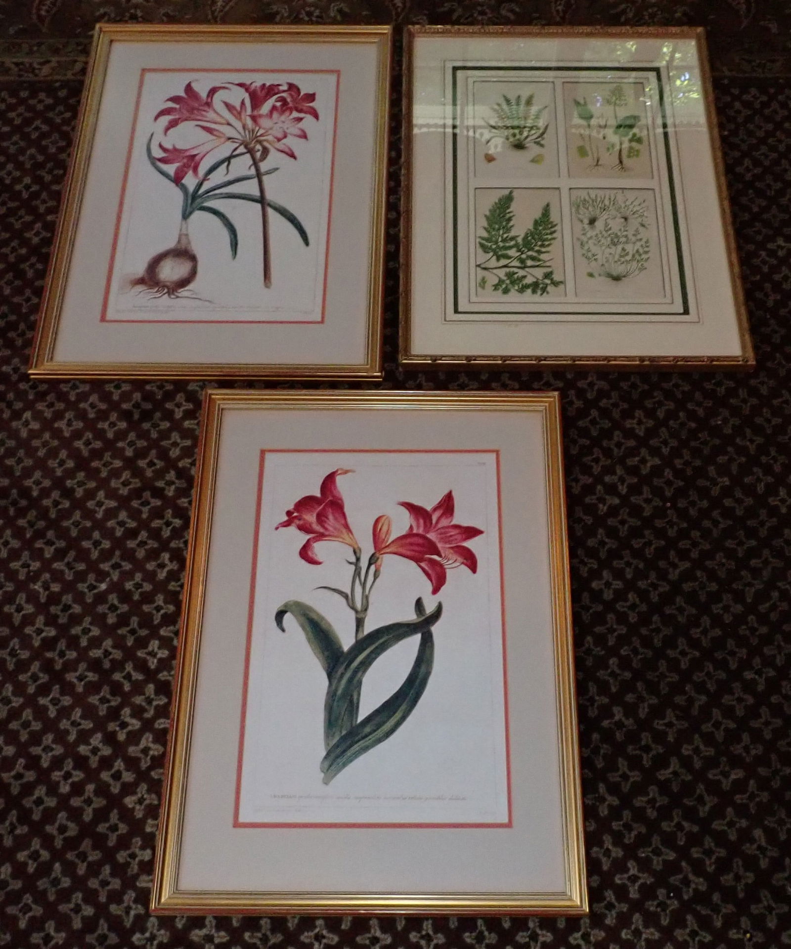Framed Floral Plates / Prints (1 of 12)