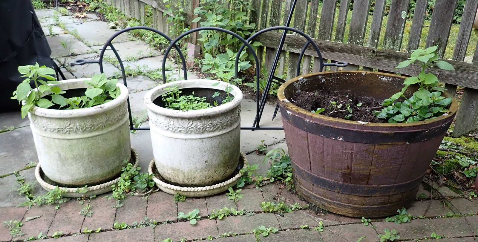 3 Resin Planters & 4 Shepherds Hooks (1 of 4)