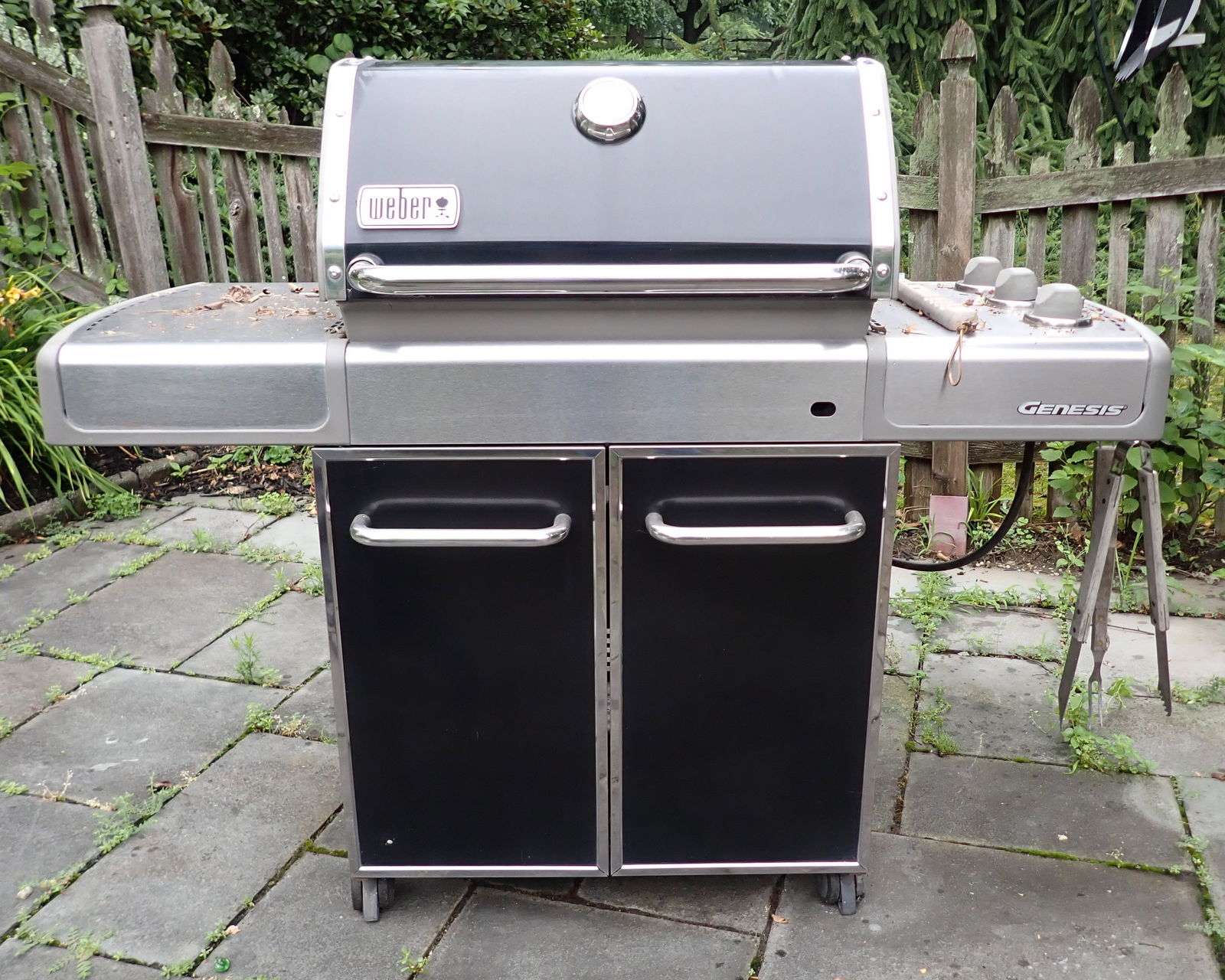 Weber Genesis Propane Grill w/ Cover (1 of 8)