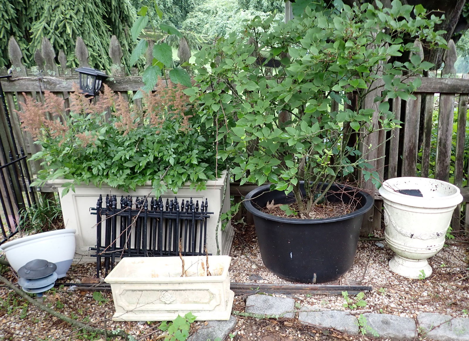 Plastic / Resin Planters Shrub & Mini Garden Fence (1 of 8)