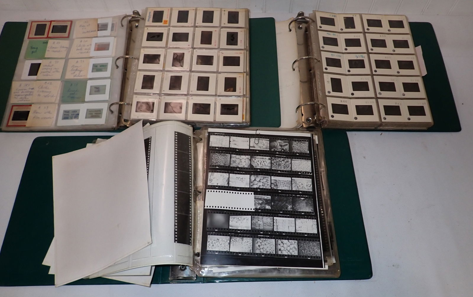 Misc Picture Slides & Negatives (1 of 6)