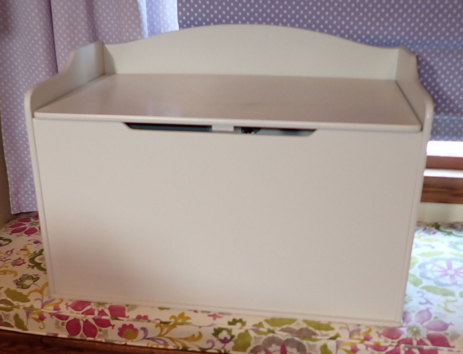 Toy Chest & Misc (1 of 3)