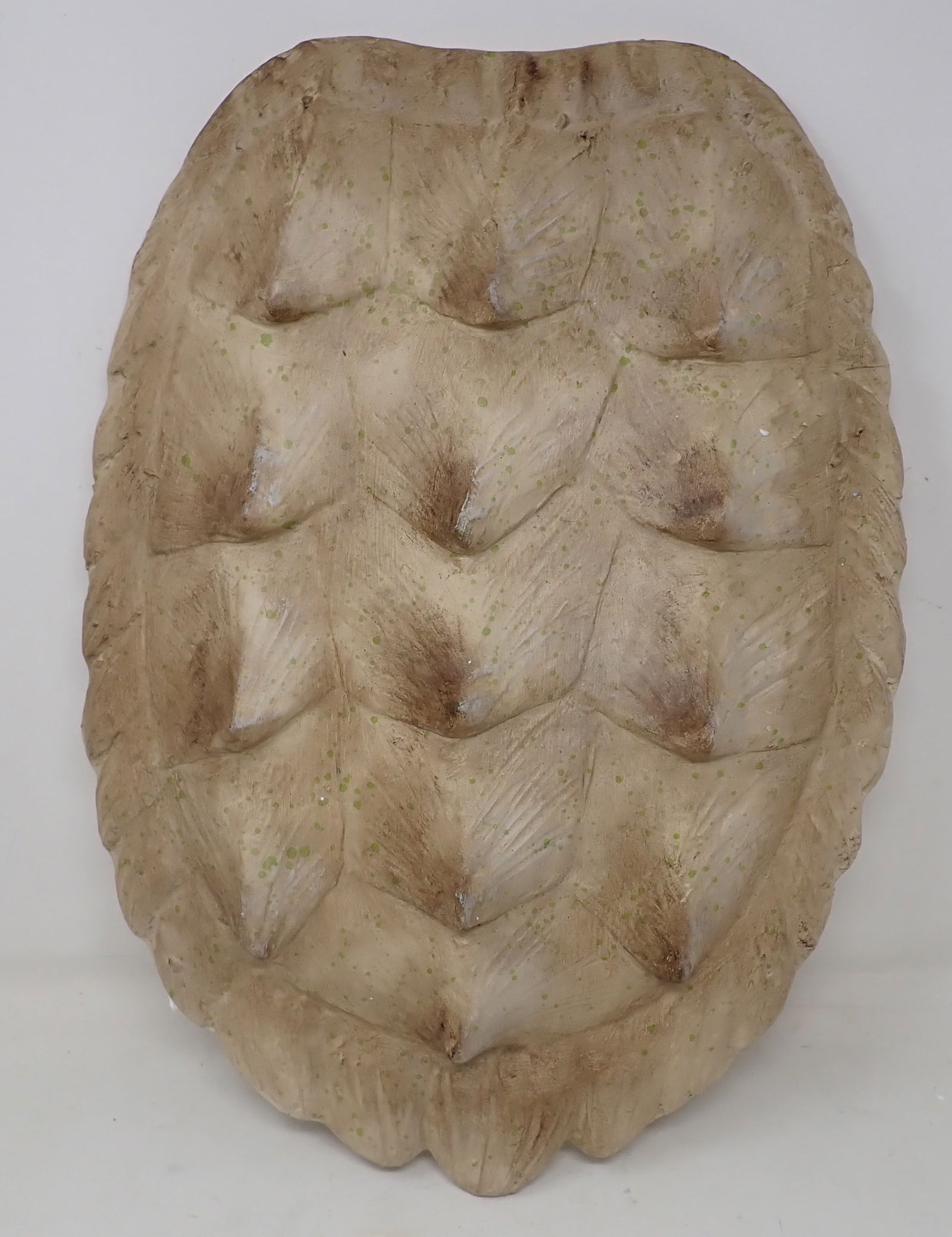 Composite Turtle Shell Wall Plaque (1 of 2)