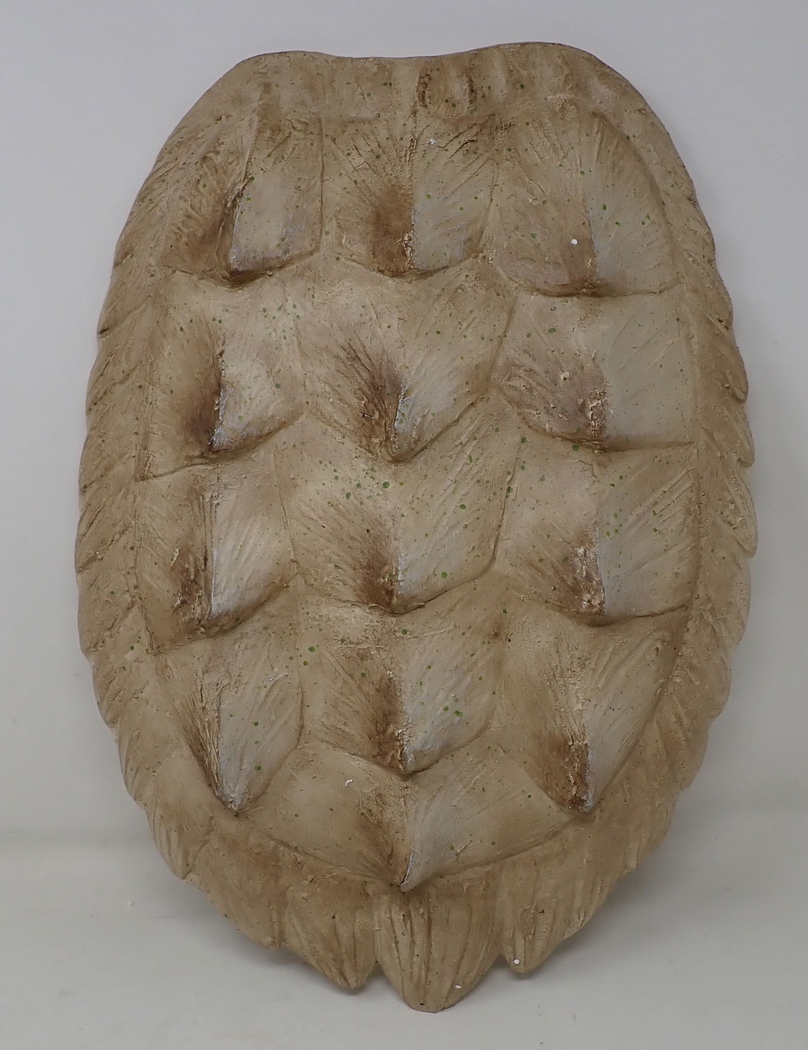 Composite Turtle Shell Wall Plaque (1 of 2)