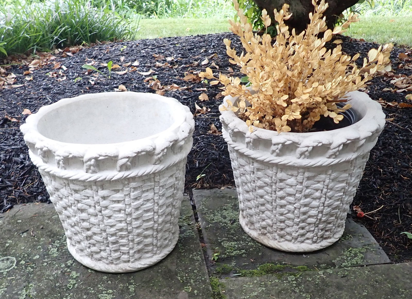 Pair of Concrete Planters: Approx 15" in diameter and 14" tall. No shipping