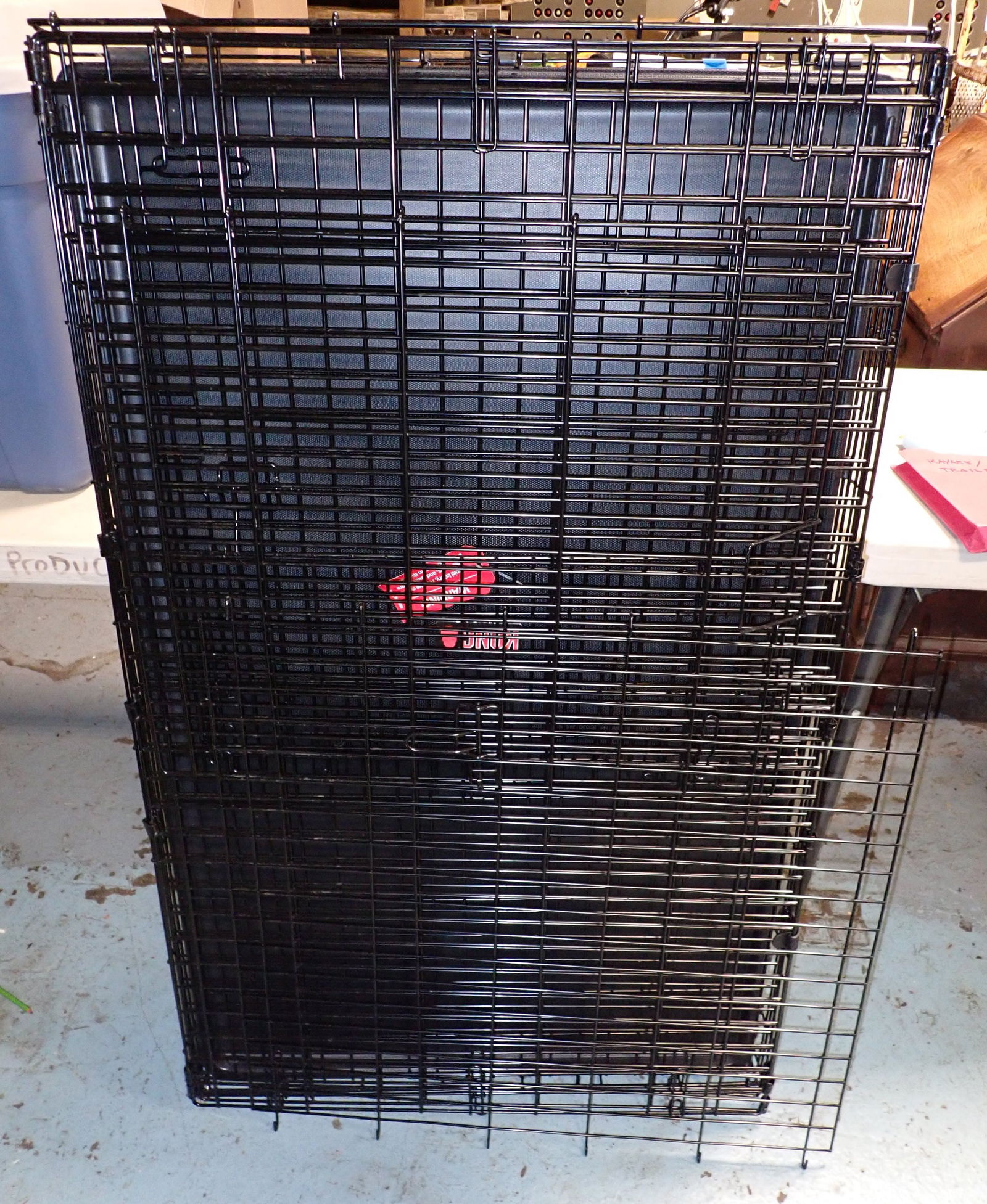 Kong Dog Crate (1 of 3)