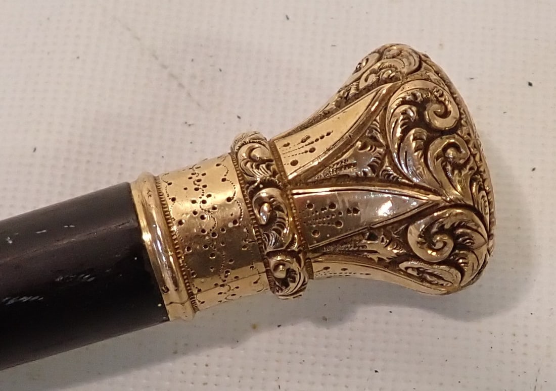 Walking Stick / Cane (1 of 4)