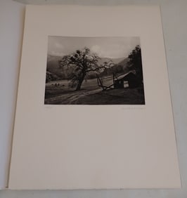 Kurt Markus Meadow & Oak Signed Print