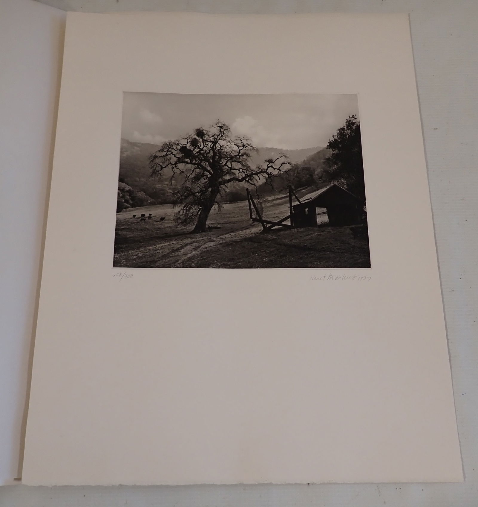 Kurt Markus Meadow & Oak Signed Print (1 of 9)