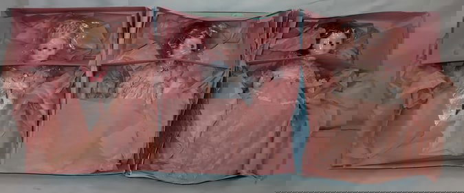 3 Madame Alexander Dolls incl Julia Tyler