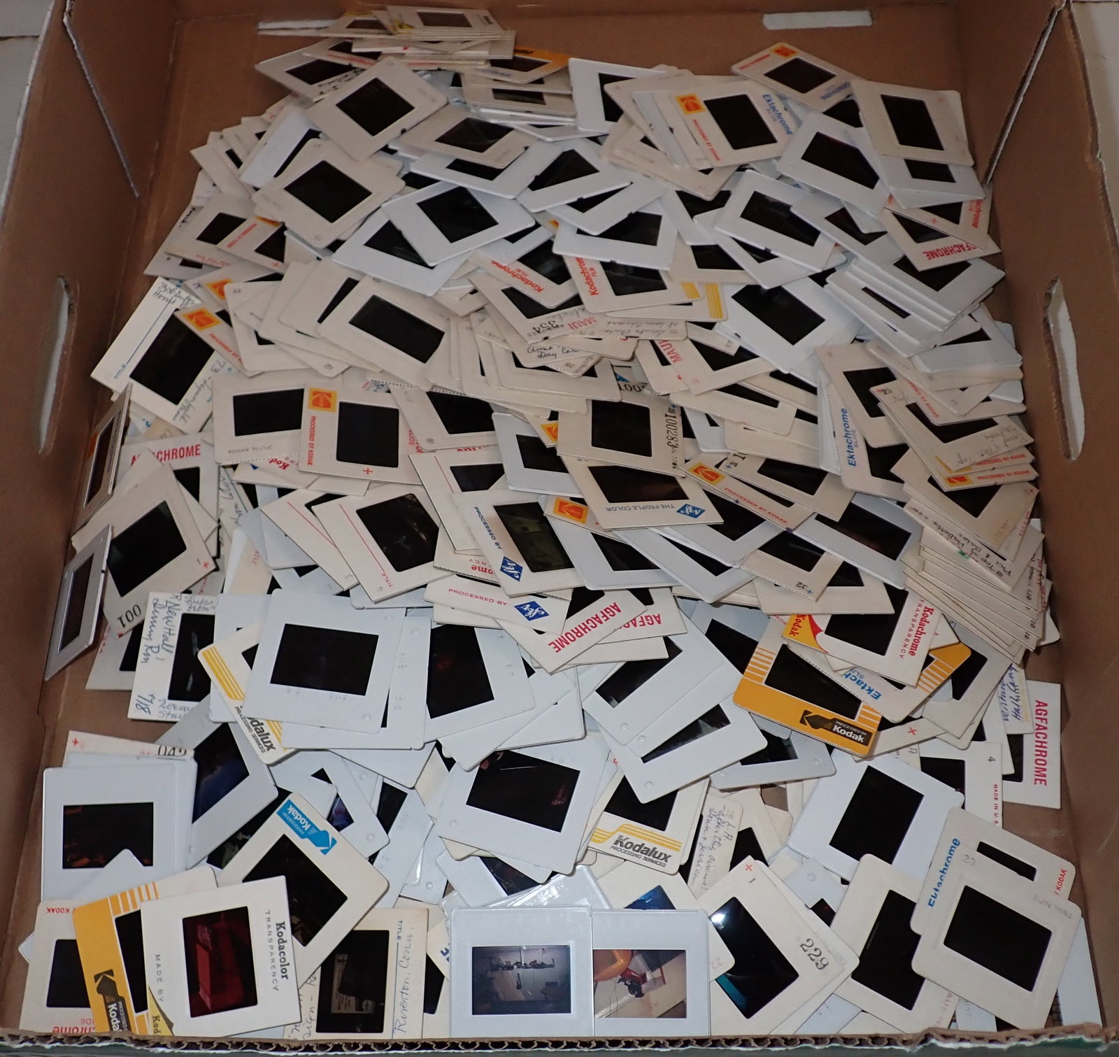 People & Misc Picture Slides (1 of 3)