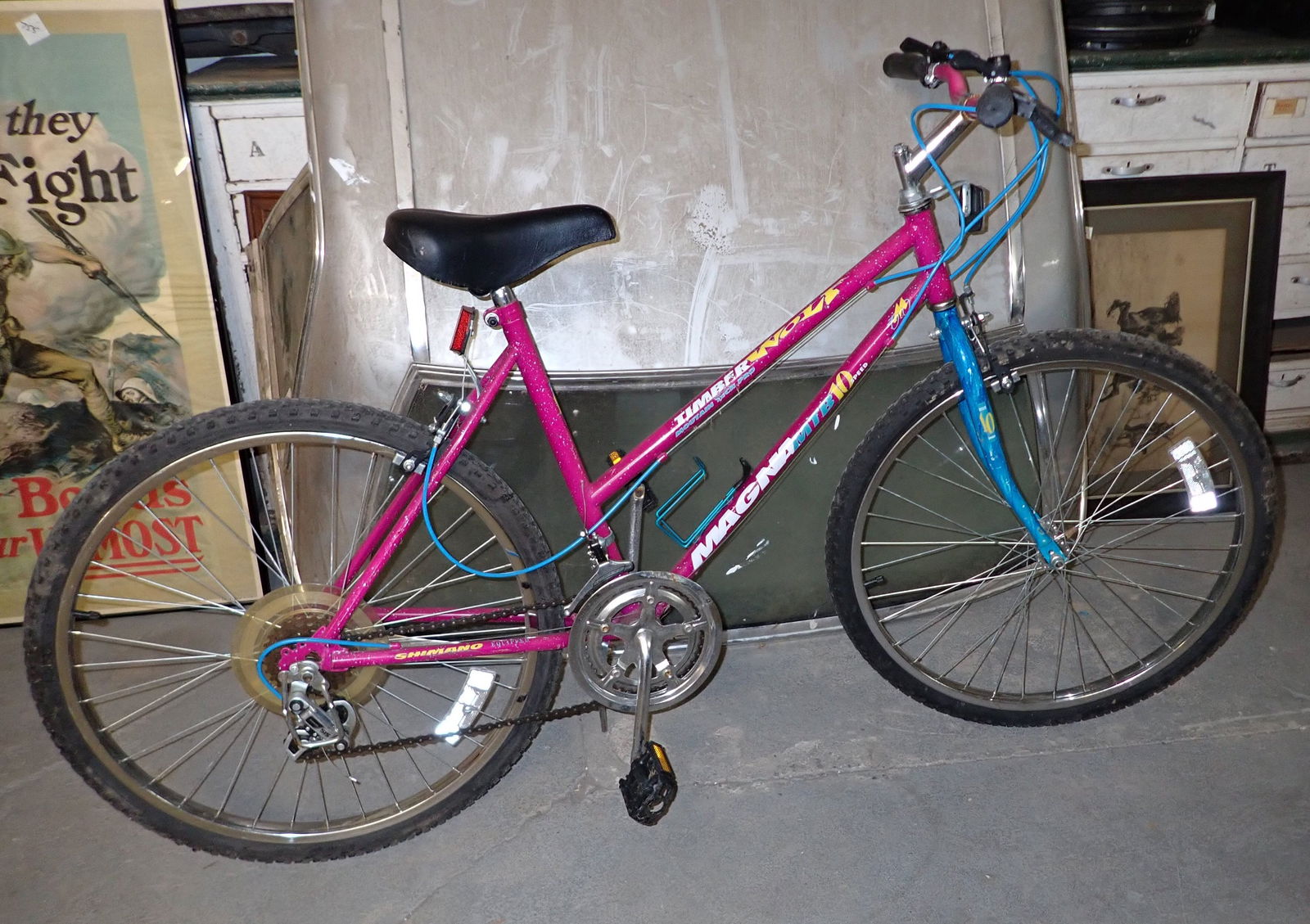 Roadmaster 10 speed hotsell