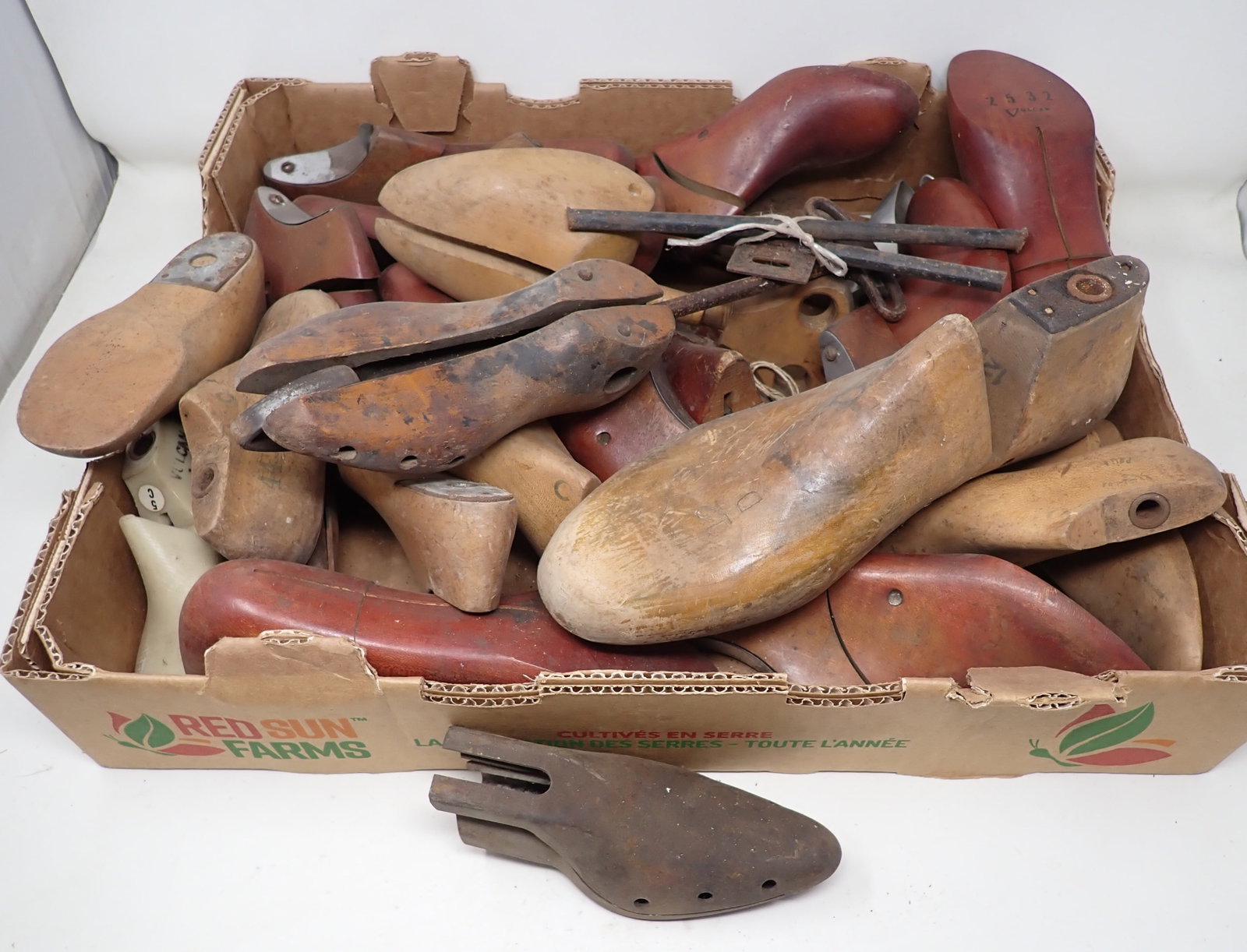 Box of Shoe Molds: Getting all in box