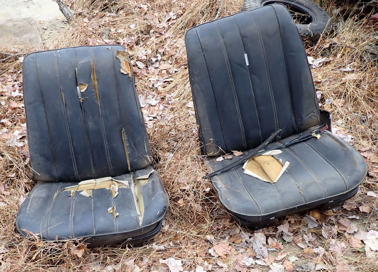 Bucket Seats (1 of 4)