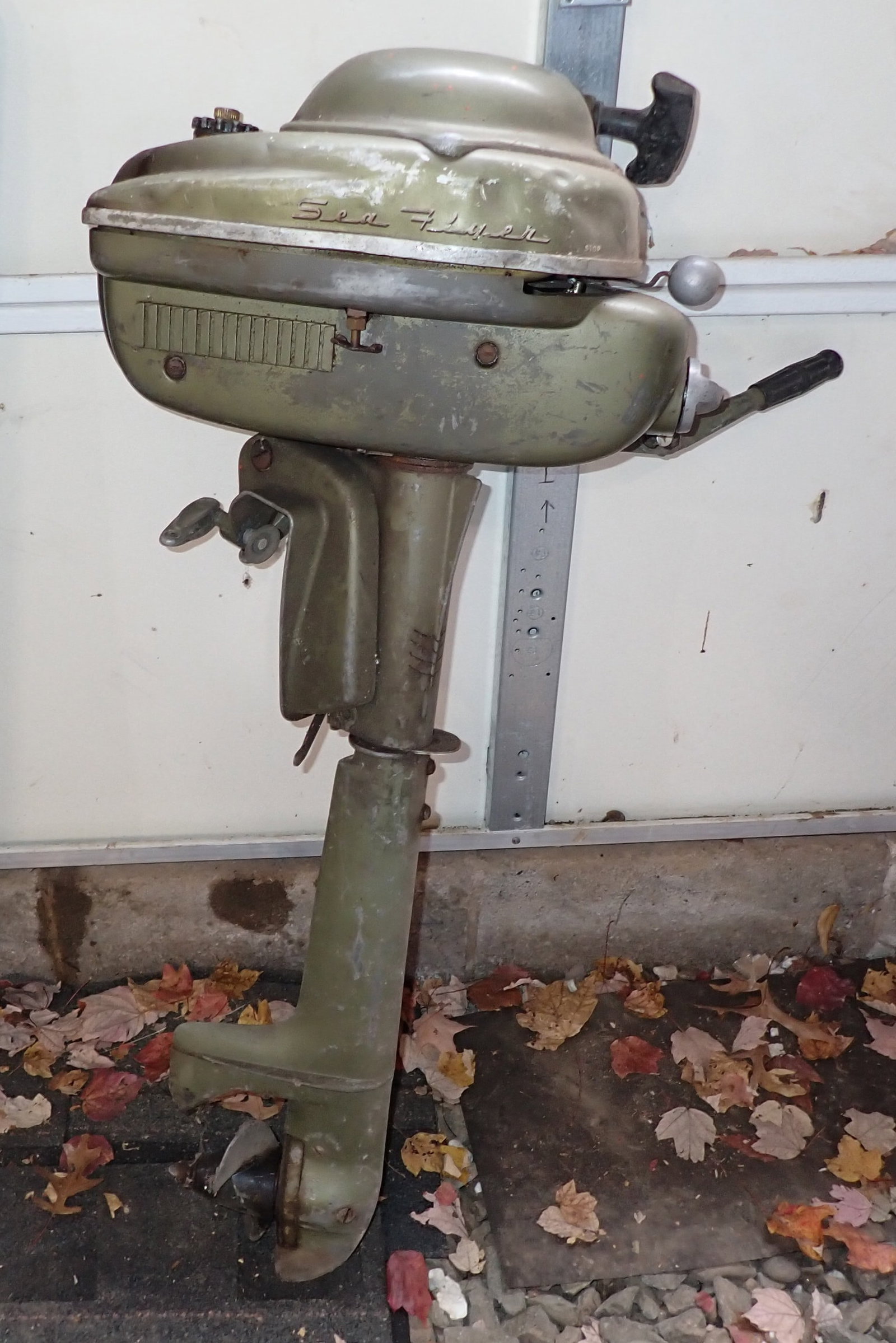 Sea Horse Boat Motor: No in house shipping !