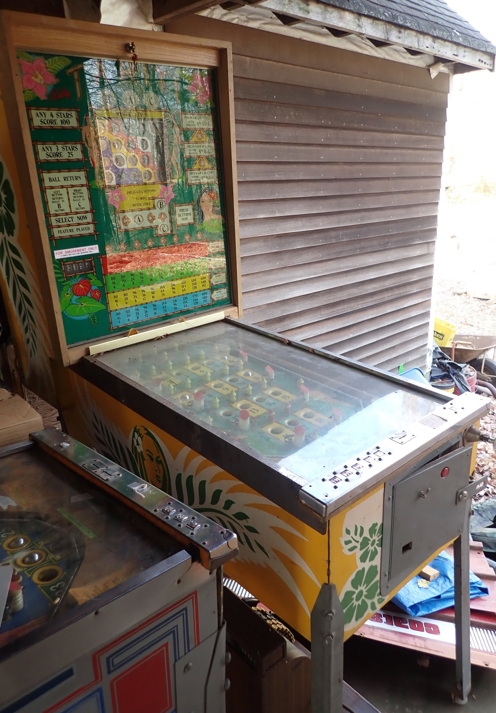 Bally Tahiti Game Pin Ball Machine (1 of 14)