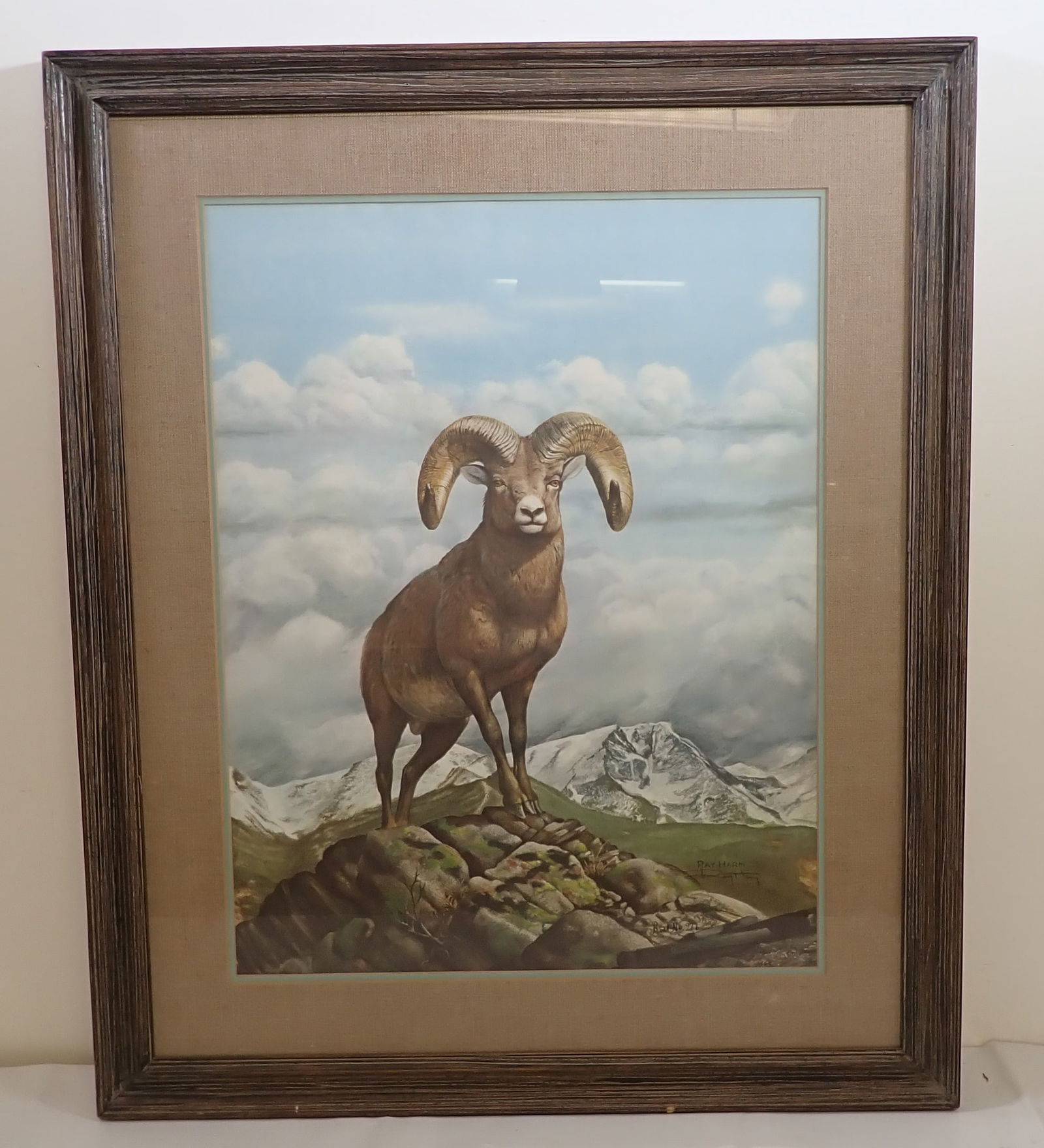 Ray Harm Rocky Mountain Bighorn Sheep Print (1 of 4)
