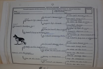 AKC Pedigree Certificates Photos & Misc