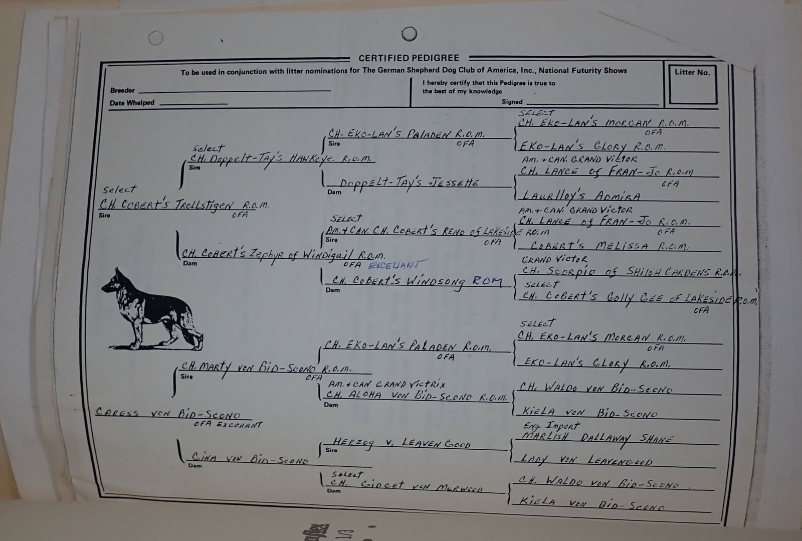 AKC Pedigree Certificates Photos & Misc (1 of 9)