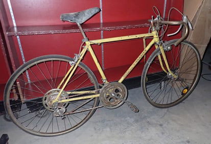 Schwinn Varsity Bicycle