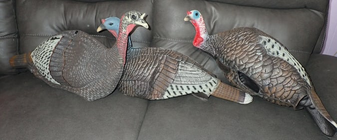 3 Wild Turkey Decoys