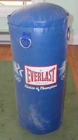 Everlast Punching Bag