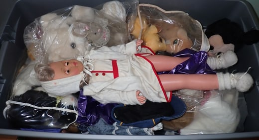 Tote of Dolls & Stuffed Animals