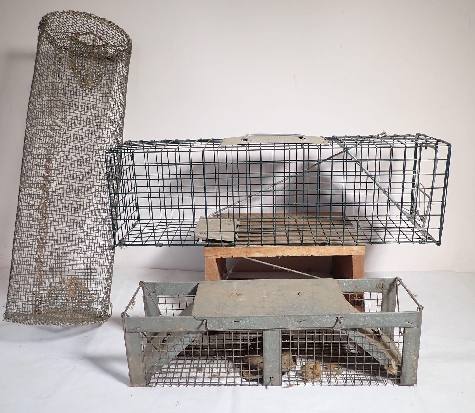 Animal & Minnow Traps (1 of 1)
