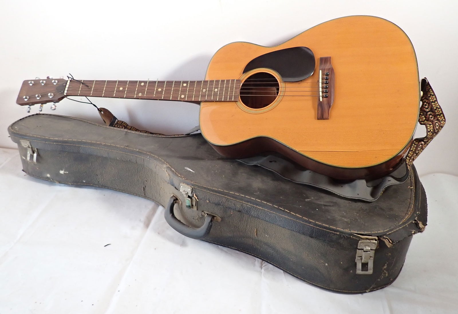 Roderich Paesold P100 Guitar for Repair (1 of 10)