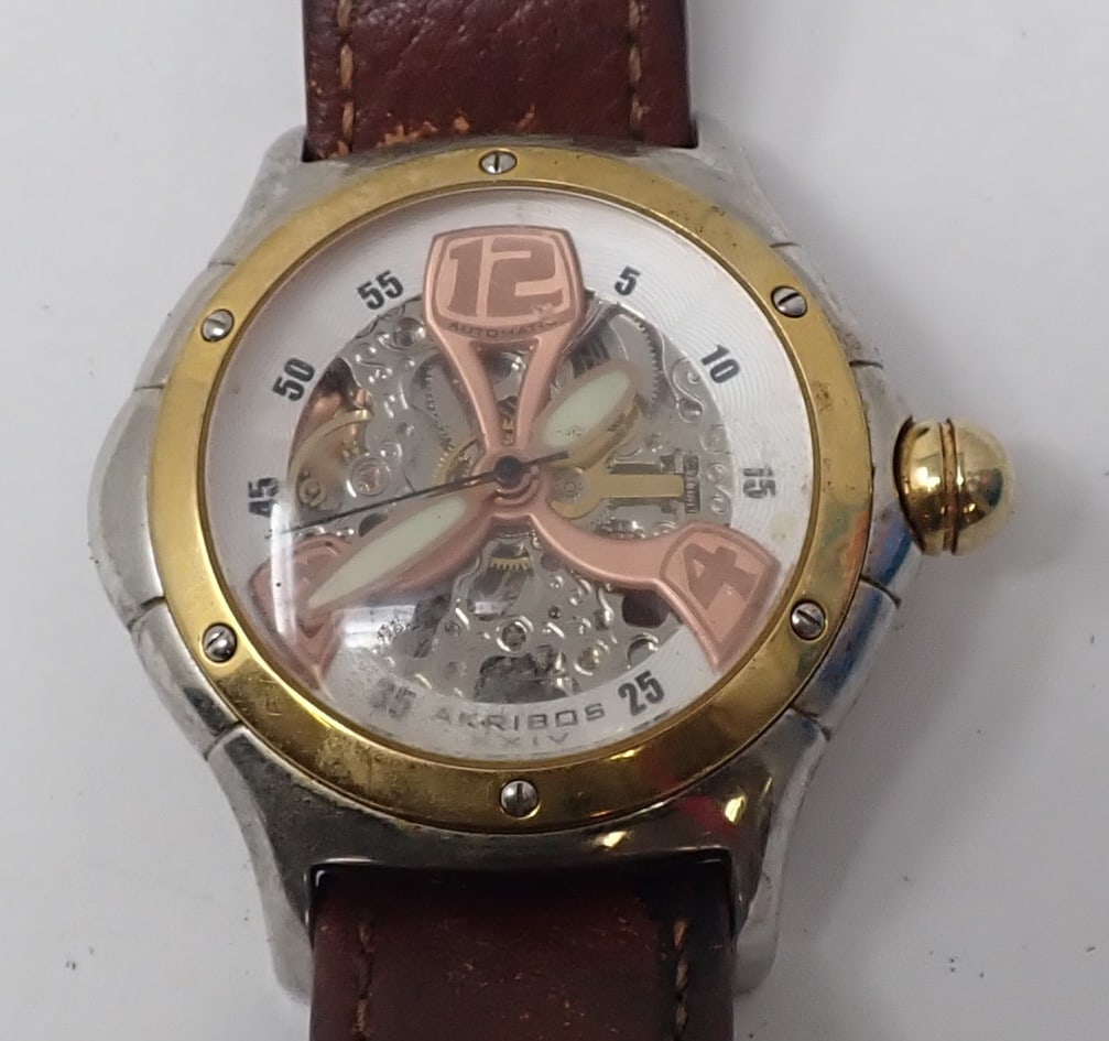 Akribos XXIV Wristwatch (1 of 4)