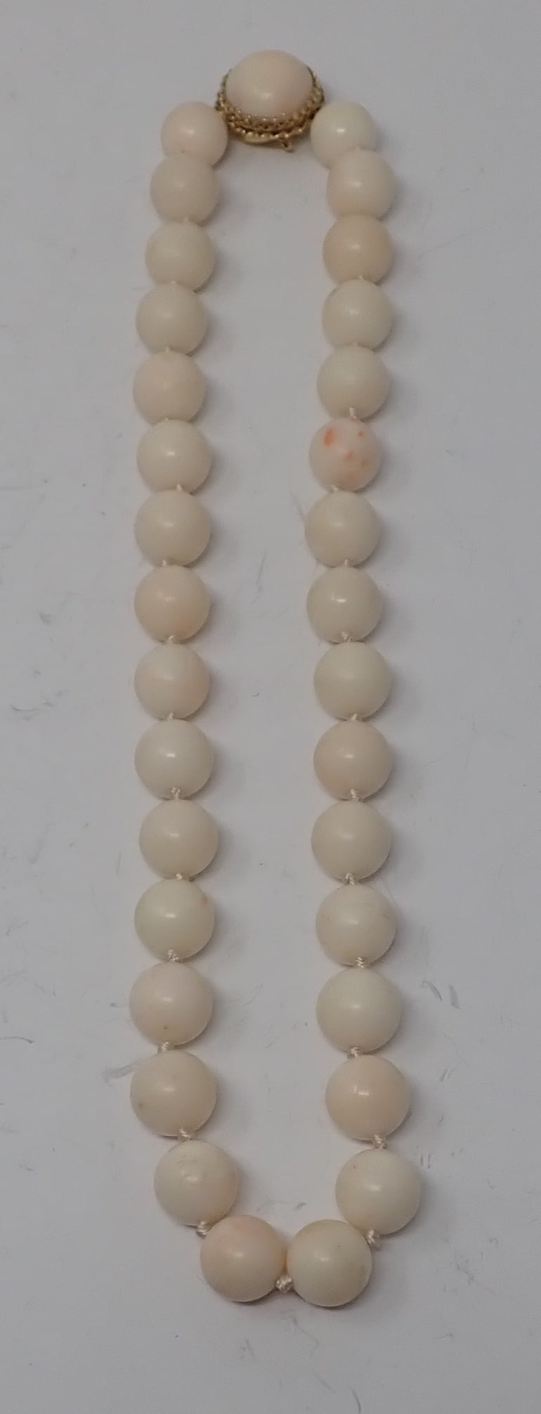 Gold and Coral Beaded Necklace: 14K yellow gold large clasp with angel skin coral cabochon supporting a 19" strand of appros. 13mm angel skin coral beads, knotted,